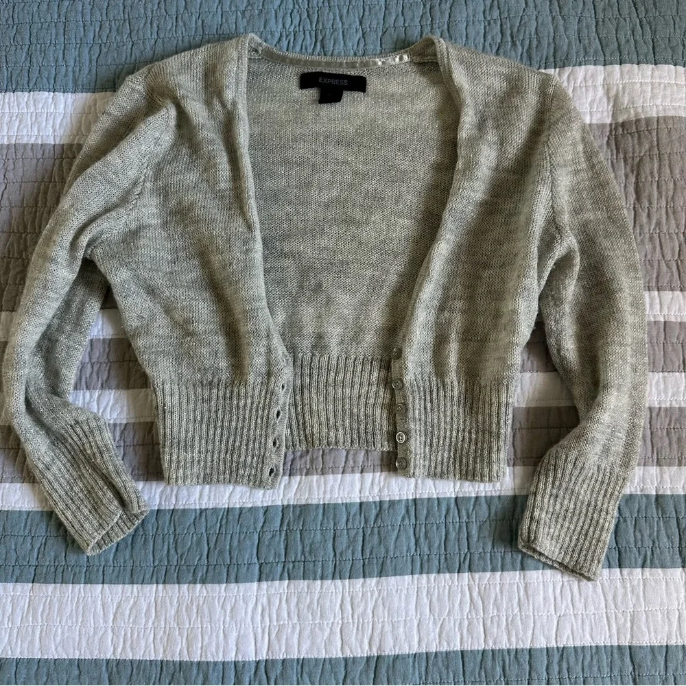 Express Y2K Vintage Merino Alpaca Mohair Gray Silver Crop Sweater XS